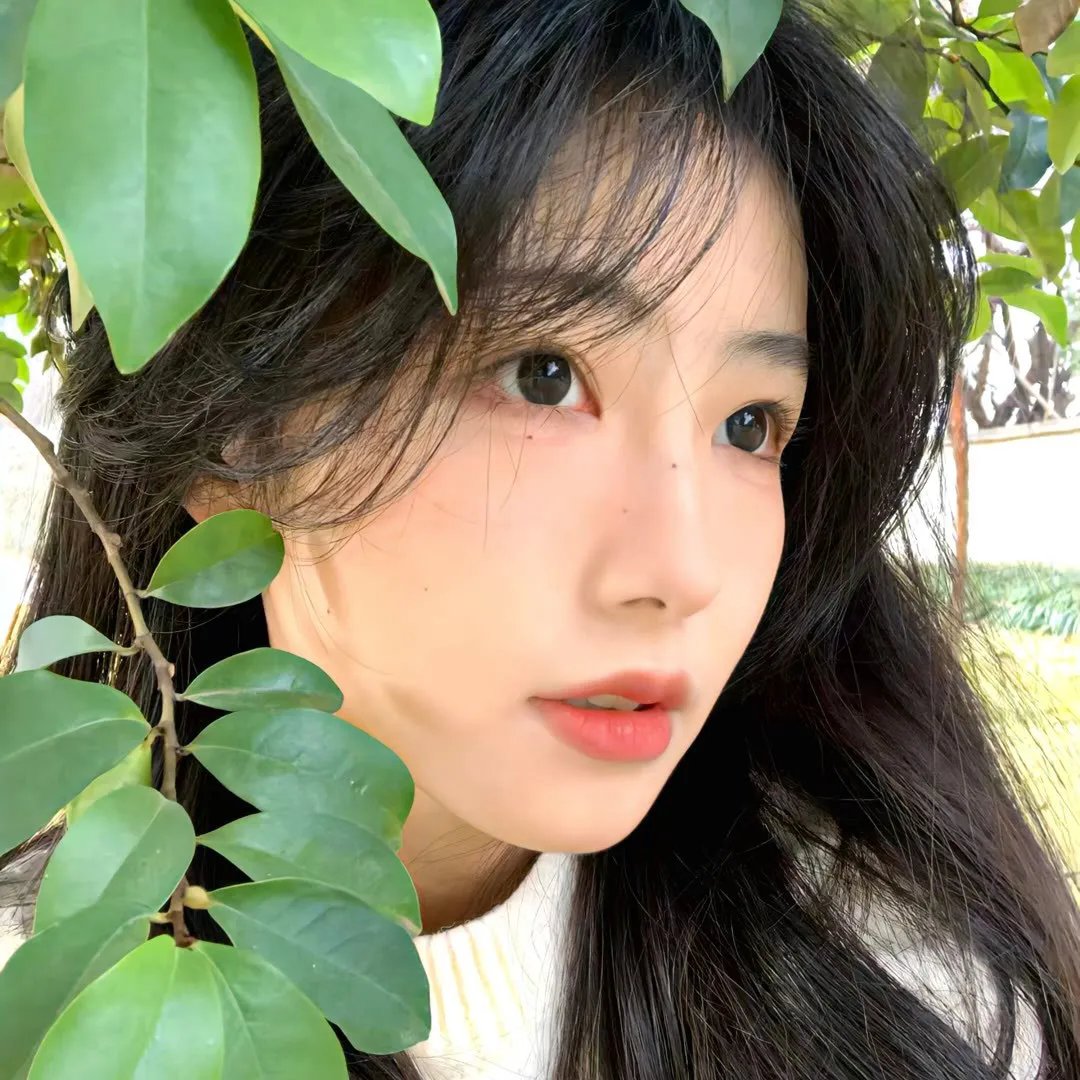 极地毁灭